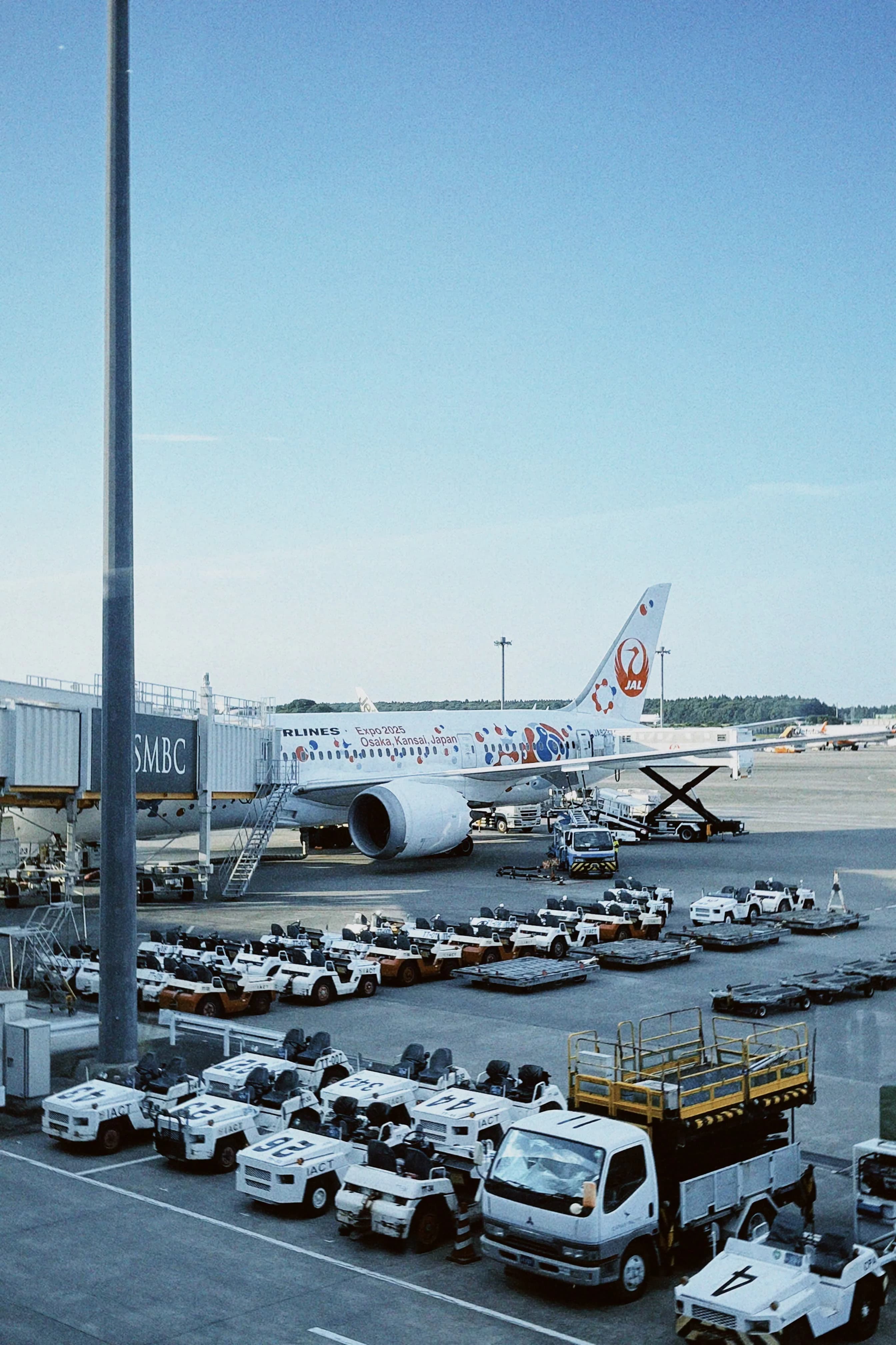 City movement and crowd