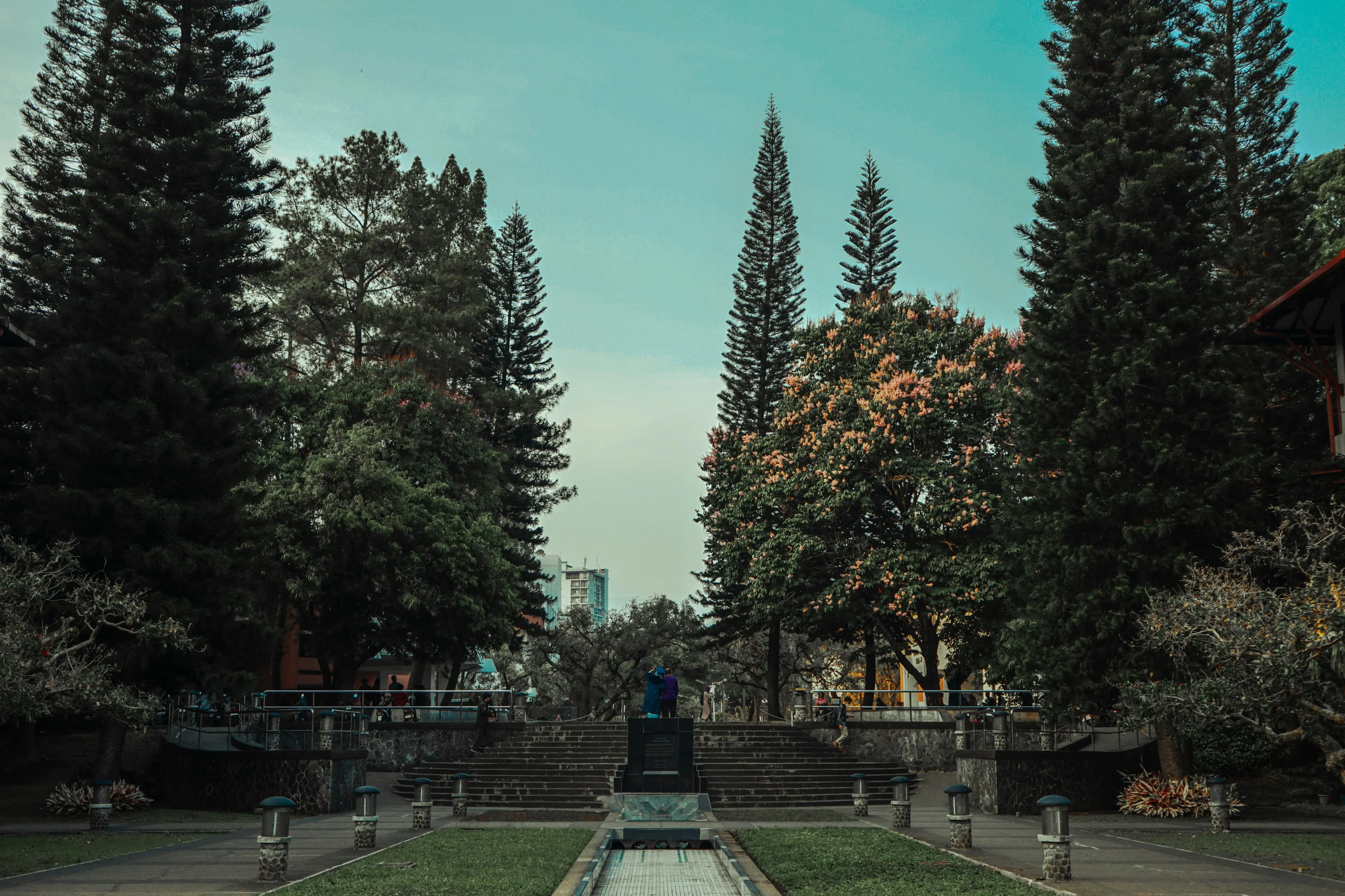 People crossing a street in a crowd